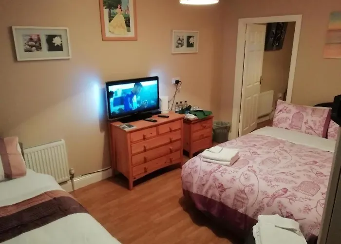 ゲストハウス John Street キルケニー